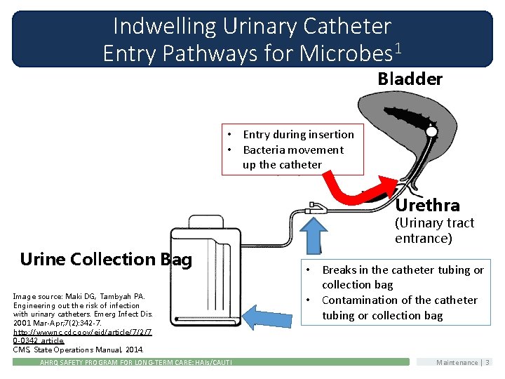 Indwelling Urinary Catheter Entry Pathways for Microbes 1 Bladder • Entry during insertion •