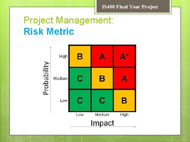 IS 480 Final Year Project Management: Risk Metric 