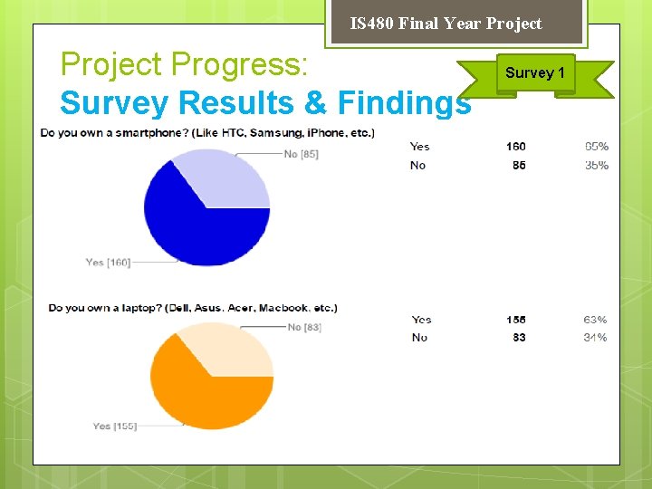 IS 480 Final Year Project Progress: Survey Results & Findings Survey 1 