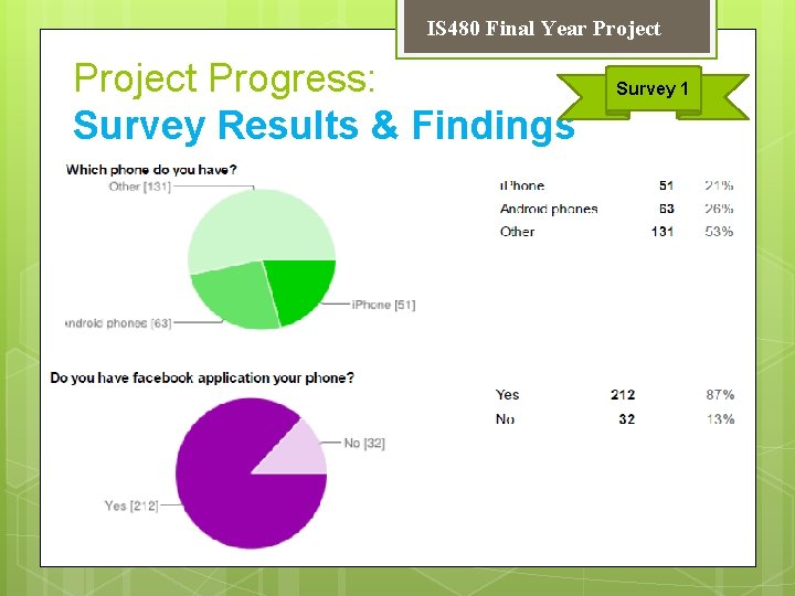 IS 480 Final Year Project Progress: Survey Results & Findings Survey 1 