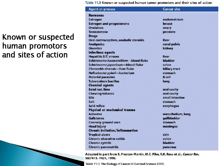 Known or suspected human promotors and sites of action 