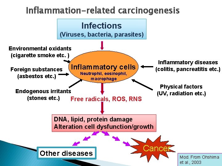 Inflammation-related carcinogenesis Infections (Viruses, bacteria, parasites) Environmental oxidants (cigarette smoke etc. ) Foreign substances