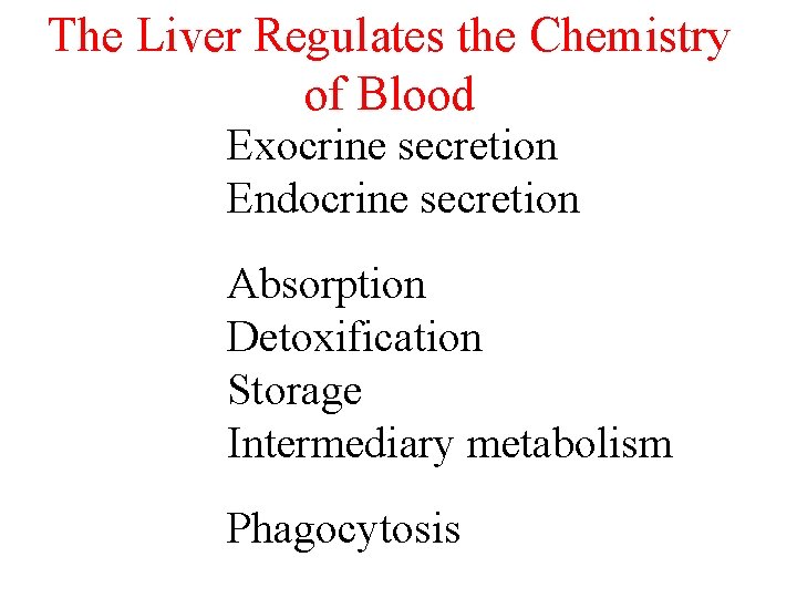 The Liver Regulates the Chemistry of Blood Exocrine secretion Endocrine secretion Absorption Detoxification Storage