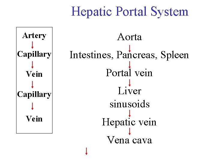 Hepatic Portal System Artery Aorta Capillary Intestines, Pancreas, Spleen Vein Portal vein Capillary Liver