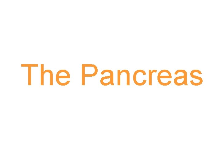 The Pancreas 