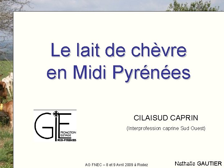 Le lait de chèvre en Midi Pyrénées CILAISUD CAPRIN (Interprofession caprine Sud Ouest) AG