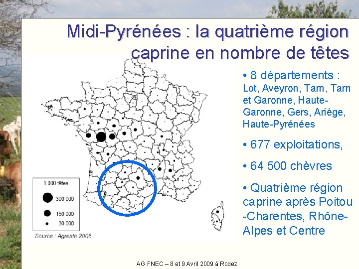 Midi-Pyrénées : la quatrième région caprine en nombre de têtes • 8 départements :