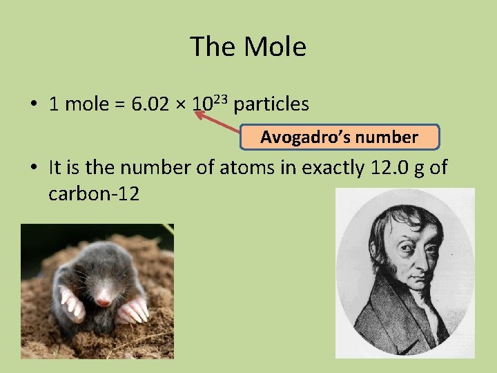 The Mole • 1 mole = 6. 02 × 1023 particles Avogadro’s number •