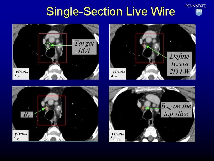 Single-Section Live Wire 
