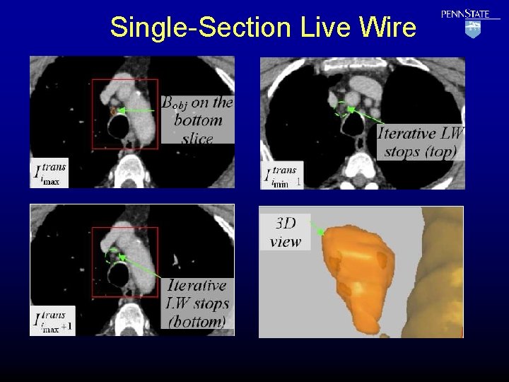 Single-Section Live Wire 