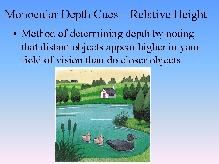 Monocular Depth Cues – Relative Height • Method of determining depth by noting that