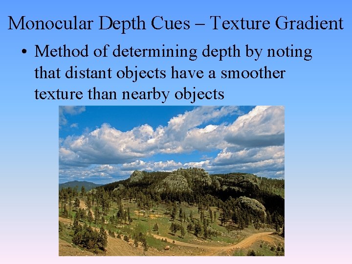 Monocular Depth Cues – Texture Gradient • Method of determining depth by noting that