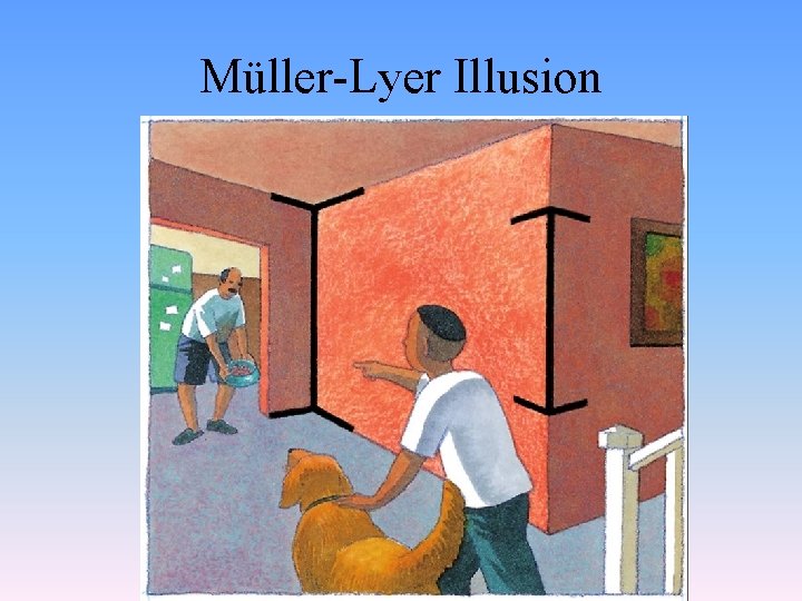 Müller-Lyer Illusion 