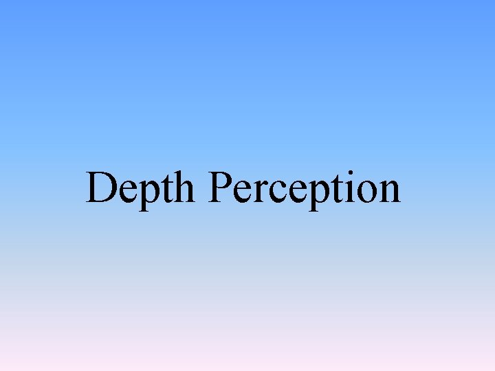 Depth Perception 