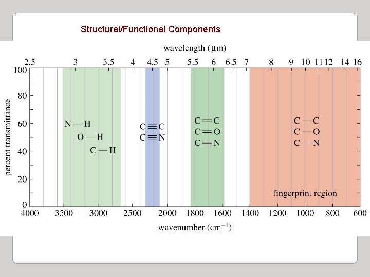 Structural/Functional Components 