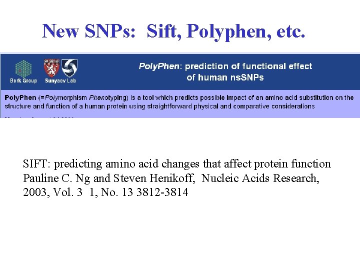 New SNPs: Sift, Polyphen, etc. SIFT: predicting amino acid changes that affect protein function