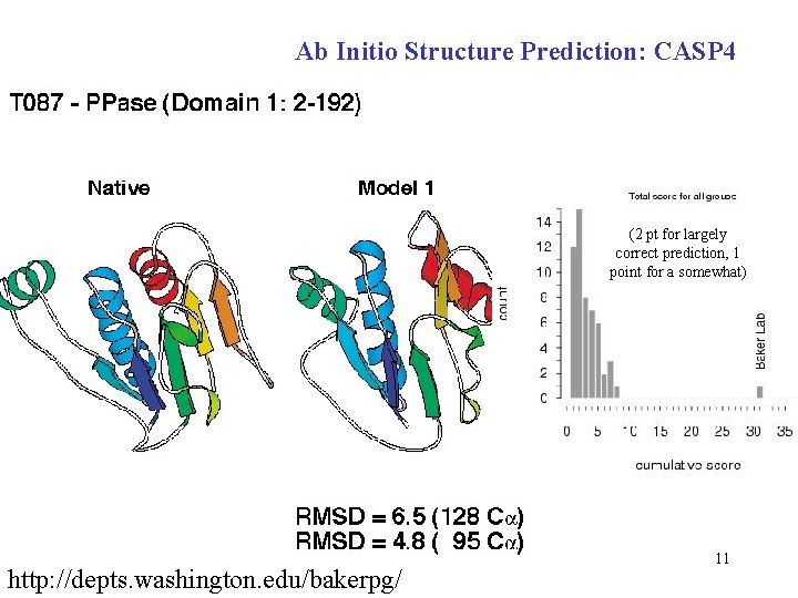 Ab Initio Structure Prediction: CASP 4 (2 pt for largely correct prediction, 1 point