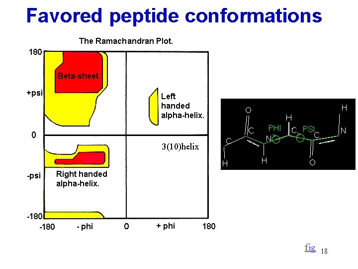 Favored peptide conformations 3(10)helix fig 18 