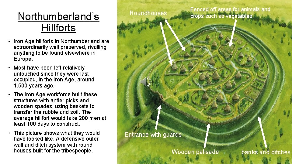 Northumberland’s Hillforts Fenced off areas for animals and crops such as vegetables. Roundhouses •