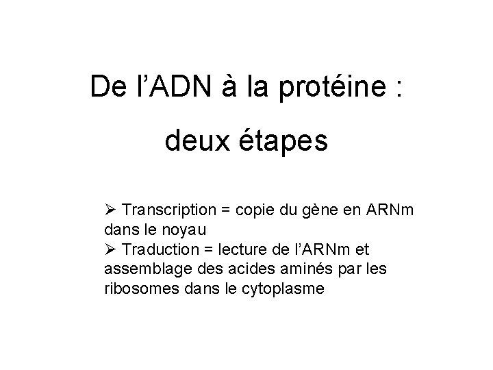 De l’ADN à la protéine : deux étapes Ø Transcription = copie du gène