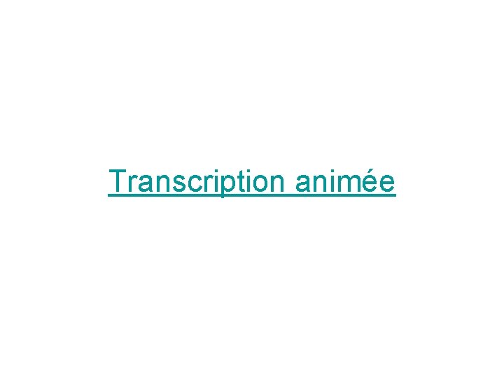 Transcription animée 