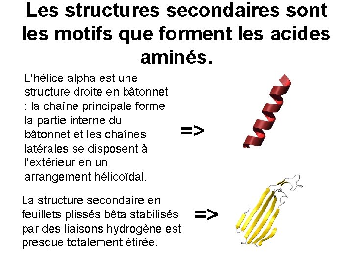 Les structures secondaires sont les motifs que forment les acides aminés. L'hélice alpha est