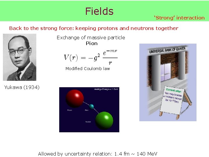 Fields ‘Strong’ interaction Back to the strong force: keeping protons and neutrons together Exchange