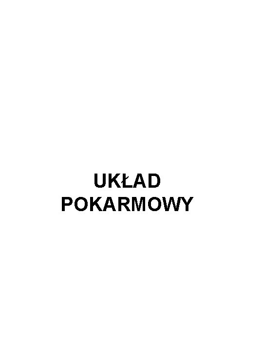 UKŁAD POKARMOWY 