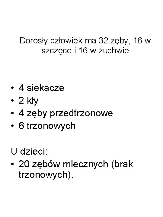 Dorosły człowiek ma 32 zęby, 16 w szczęce i 16 w żuchwie • •