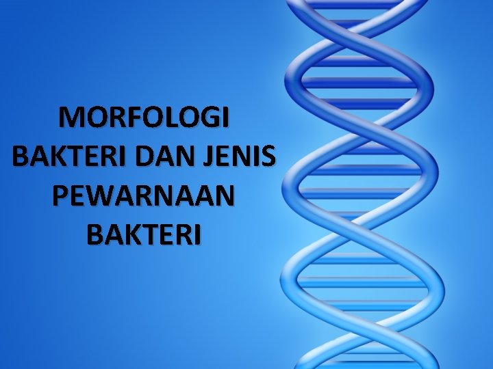 MORFOLOGI BAKTERI DAN JENIS PEWARNAAN BAKTERI 