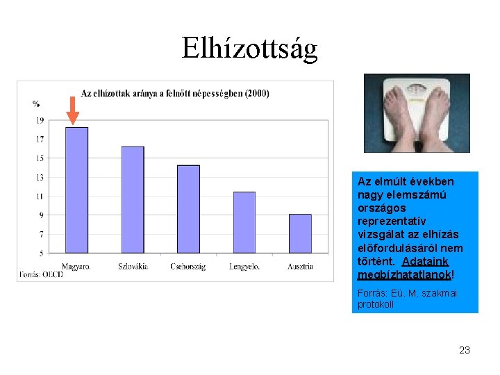 Elhízottság Az elmúlt években nagy elemszámú országos reprezentatív vizsgálat az elhízás előfordulásáról nem történt.