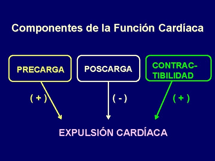 Componentes de la Función Cardíaca PRECARGA (+) POSCARGA CONTRACTIBILIDAD (-) EXPULSIÓN CARDÍACA (+) 