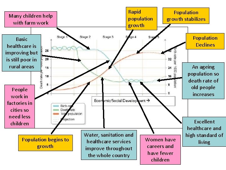 Many children help with farm work Rapid population growth Population growth stabilizes Population Declines