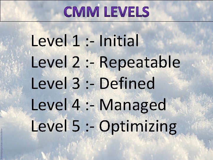 Level 1 : - Initial Level 2 : - Repeatable Level 3 : -