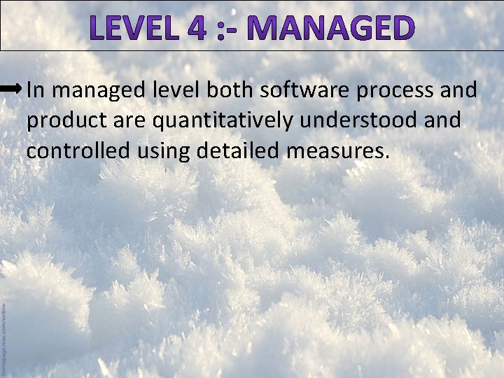 In managed level both software process and product are quantitatively understood and controlled using