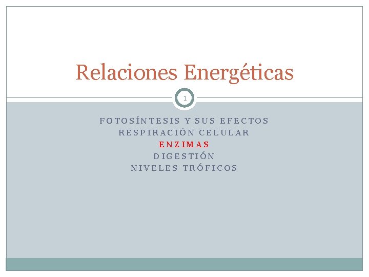 Relaciones Energéticas 1 FOTOSÍNTESIS Y SUS EFECTOS RESPIRACIÓN CELULAR ENZIMAS DIGESTIÓN NIVELES TRÓFICOS 