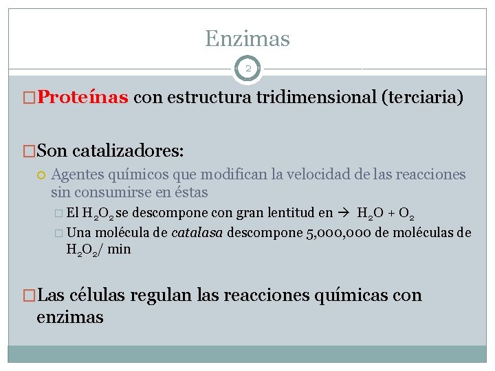 Enzimas 2 �Proteínas con estructura tridimensional (terciaria) �Son catalizadores: Agentes químicos que modifican la