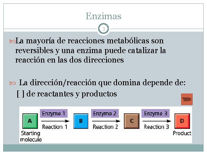 Enzimas 3 La mayoría de reacciones metabólicas son reversibles y una enzima puede catalizar