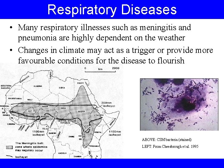 Respiratory Diseases • Many respiratory illnesses such as meningitis and pneumonia are highly dependent