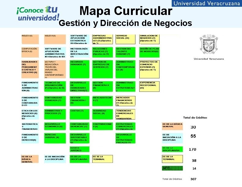 Mapa Curricular Gestión y Dirección de Negocios 