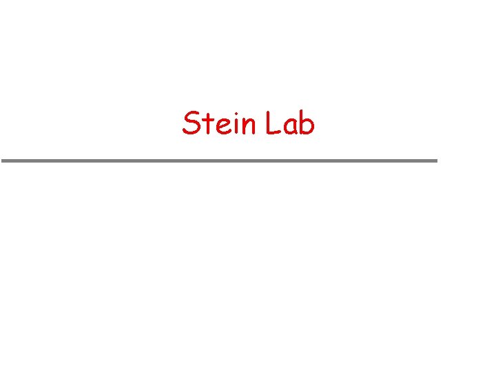 Stein Lab In-House Symposium 2002 