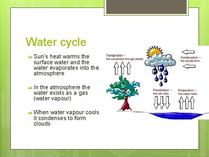 Water cycle Sun’s heat warms the surface water and the water evaporates into the