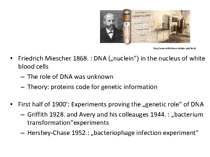 http: //www. ralf-dahm. com/index. php? id=61 • Friedrich Miescher 1868. : DNA („nuclein”) in