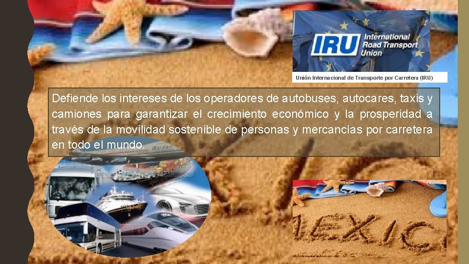 Unión Internacional de Transporte por Carretera (IRU) Defiende los intereses de los operadores de