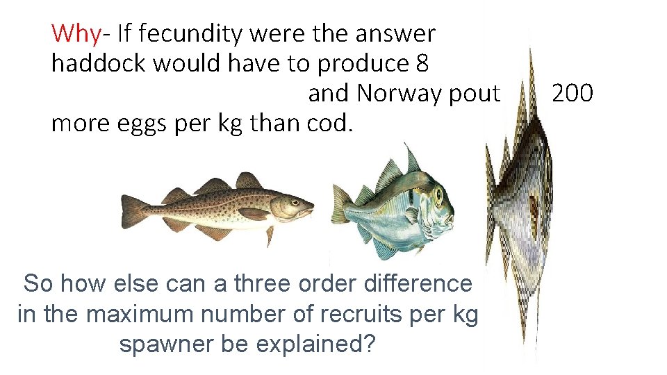 Why- If fecundity were the answer haddock would have to produce 8 and Norway