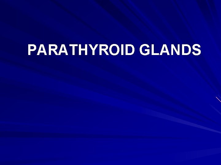 PARATHYROID GLANDS 