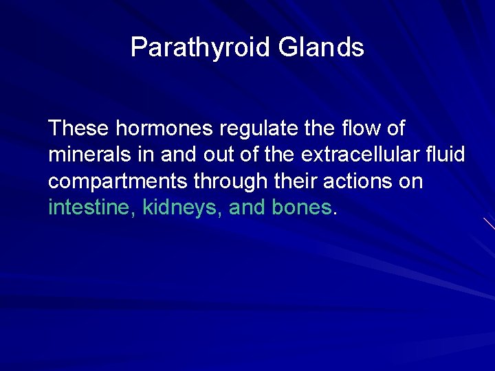 Parathyroid Glands These hormones regulate the flow of minerals in and out of the