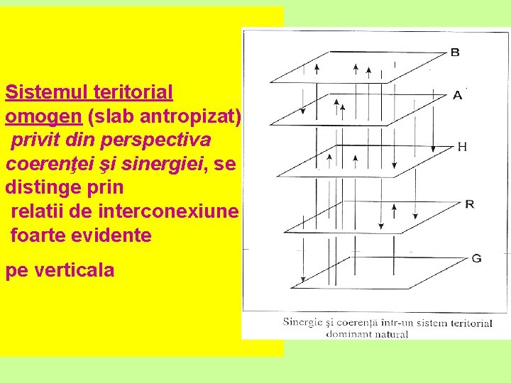 Sistemul teritorial omogen (slab antropizat), privit din perspectiva coerenţei şi sinergiei, se distinge prin