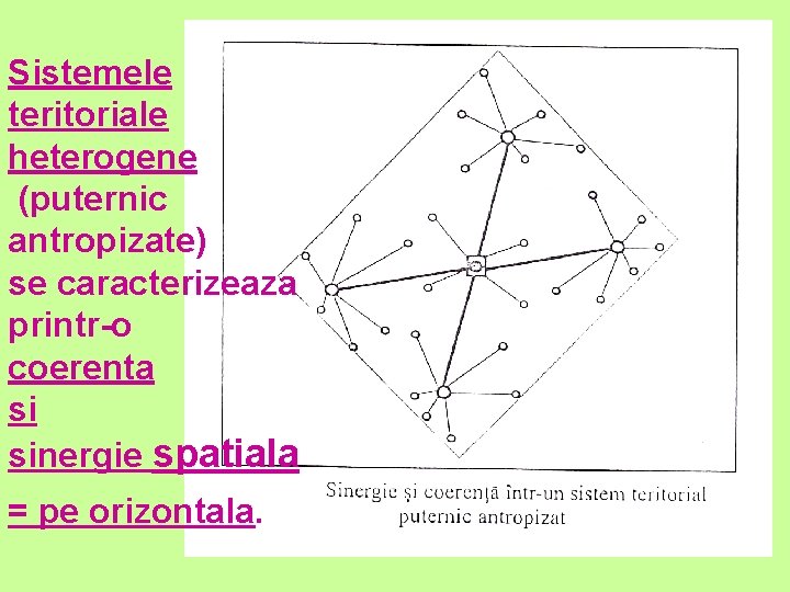 Sistemele teritoriale heterogene (puternic antropizate) se caracterizeaza printr-o coerenta si sinergie spatiala = pe