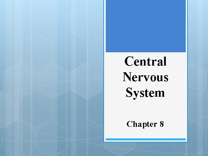 Central Nervous System Chapter 8 
